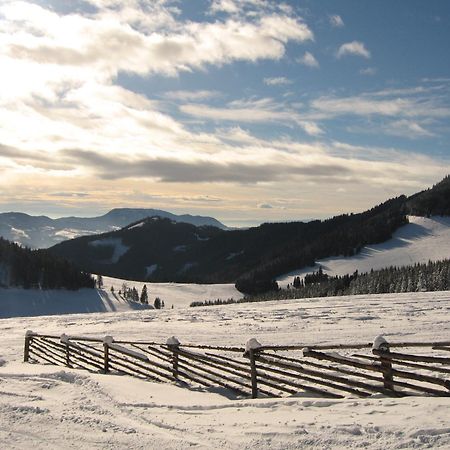 Heidi'S Schlummerkiste Am Fuss Der Teichalm Breitenau am Hochlantsch Buitenkant foto