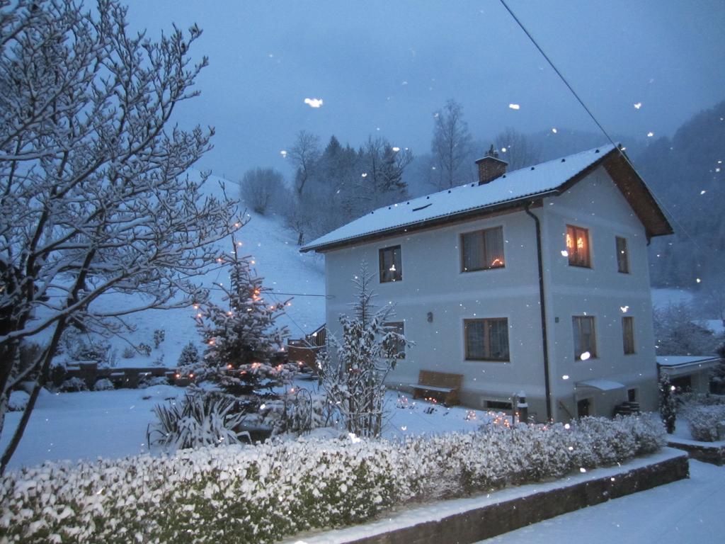 Heidi'S Schlummerkiste Am Fuss Der Teichalm Breitenau am Hochlantsch Buitenkant foto