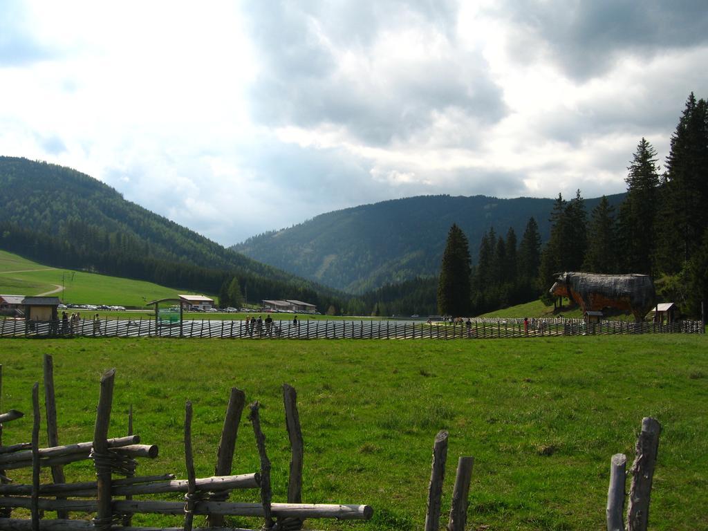 Heidi'S Schlummerkiste Am Fuss Der Teichalm Breitenau am Hochlantsch Buitenkant foto