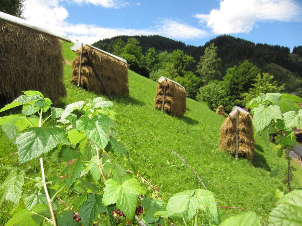 Heidi'S Schlummerkiste Am Fuss Der Teichalm Breitenau am Hochlantsch Buitenkant foto