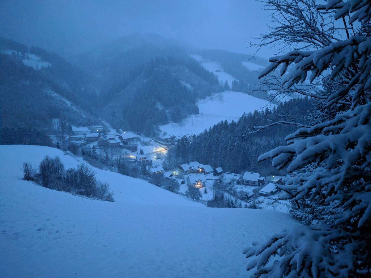 Heidi'S Schlummerkiste Am Fuss Der Teichalm Breitenau am Hochlantsch Buitenkant foto