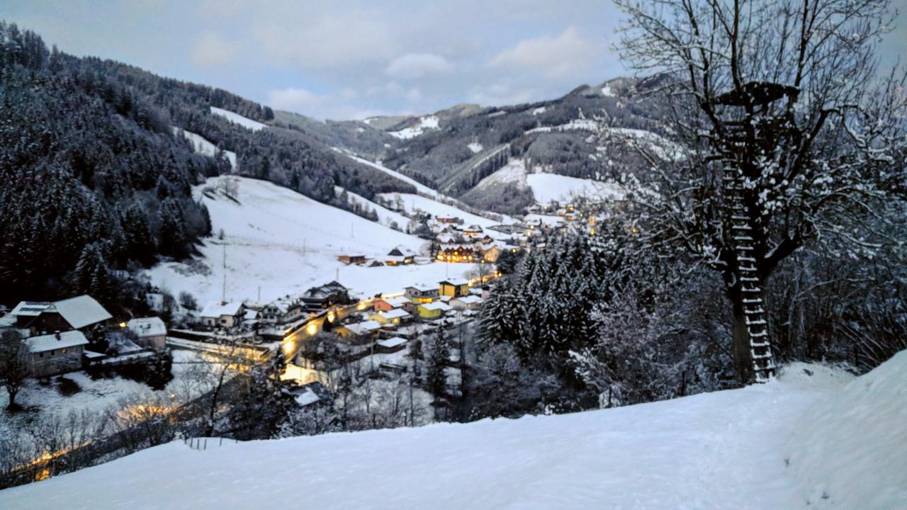 Heidi'S Schlummerkiste Am Fuss Der Teichalm Breitenau am Hochlantsch Buitenkant foto