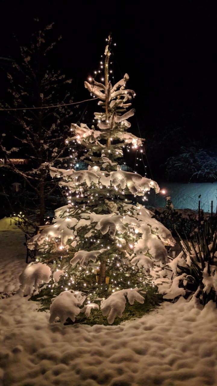 Heidi'S Schlummerkiste Am Fuss Der Teichalm Breitenau am Hochlantsch Buitenkant foto